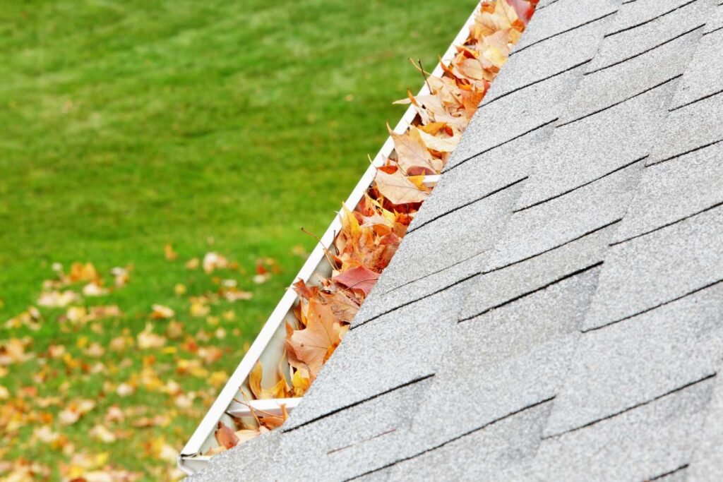 gutter maintenance services