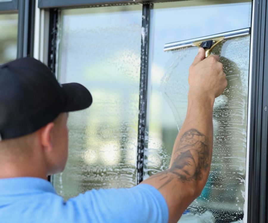 professional window washing